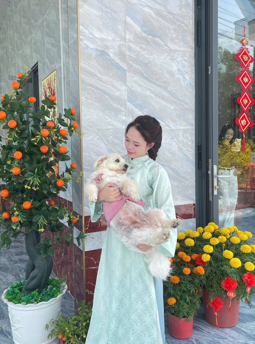 Linh Nguyễn tweet media