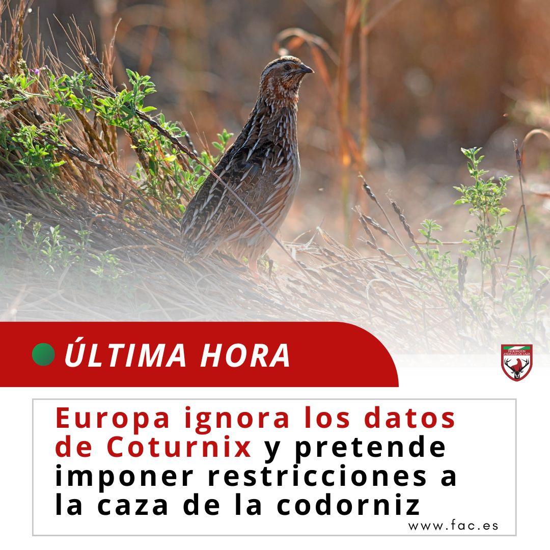 Federación Andaluza de Caza tweet media