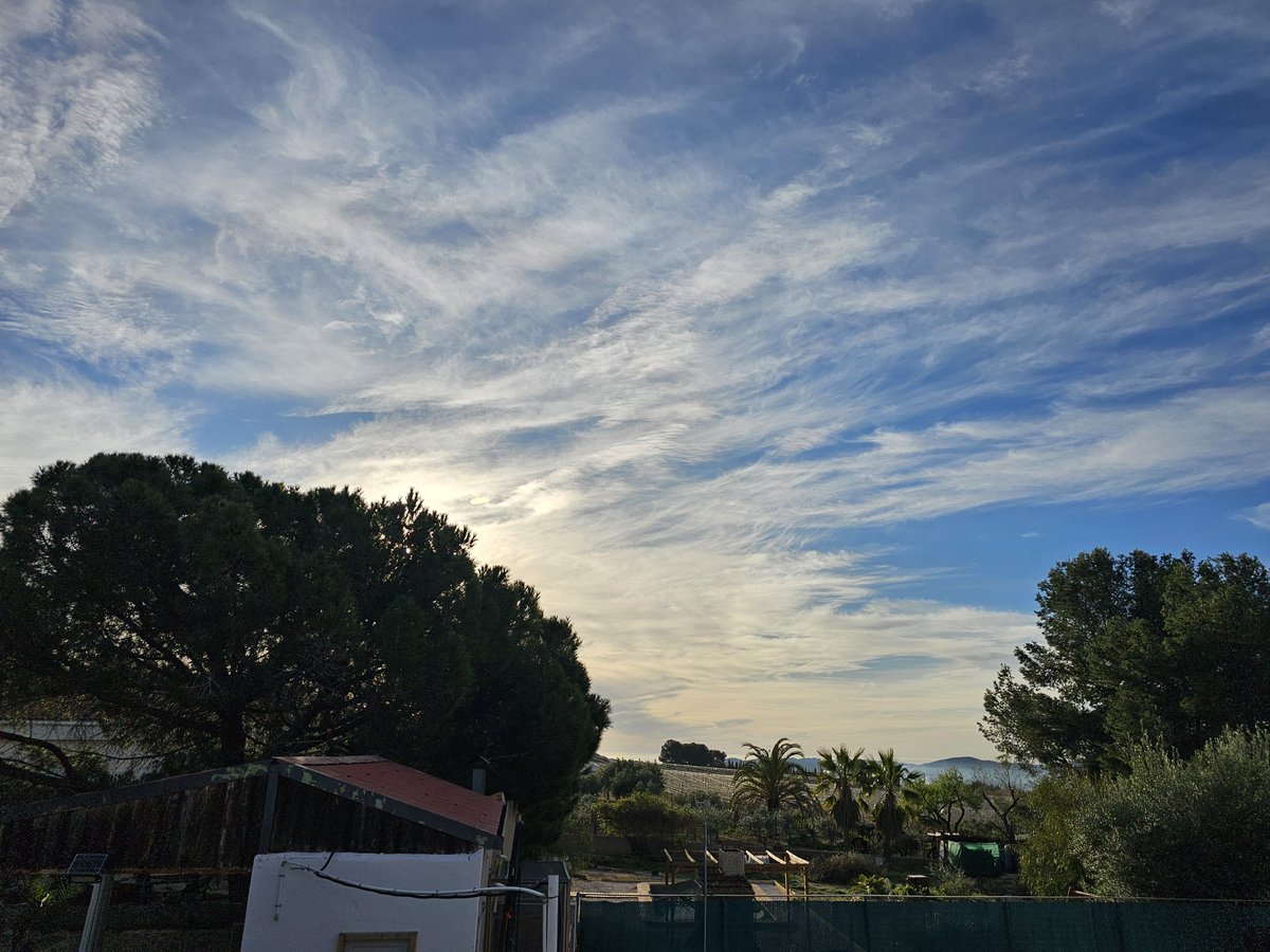 SpanglishBloke's tweet photo. Alicante province 27/02/2026 at 08:30 hrs. Atmosphere poisoned whilst we slept. #NotFuckingWater #NotCalima #GeoEngineering https://t.co/2J3LIu8kgu