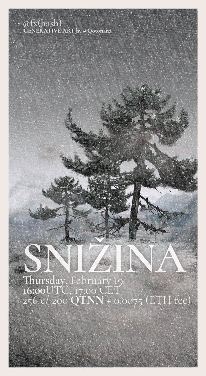 Qotonana tweet media