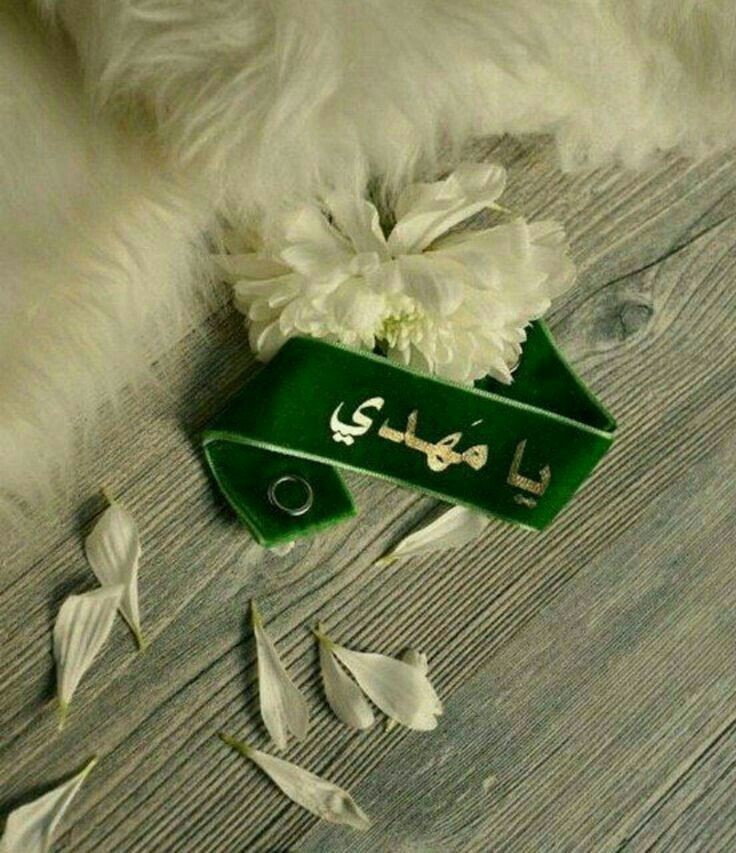 روح‌الله tweet media