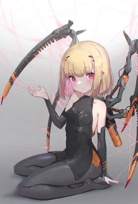 蜘蛛