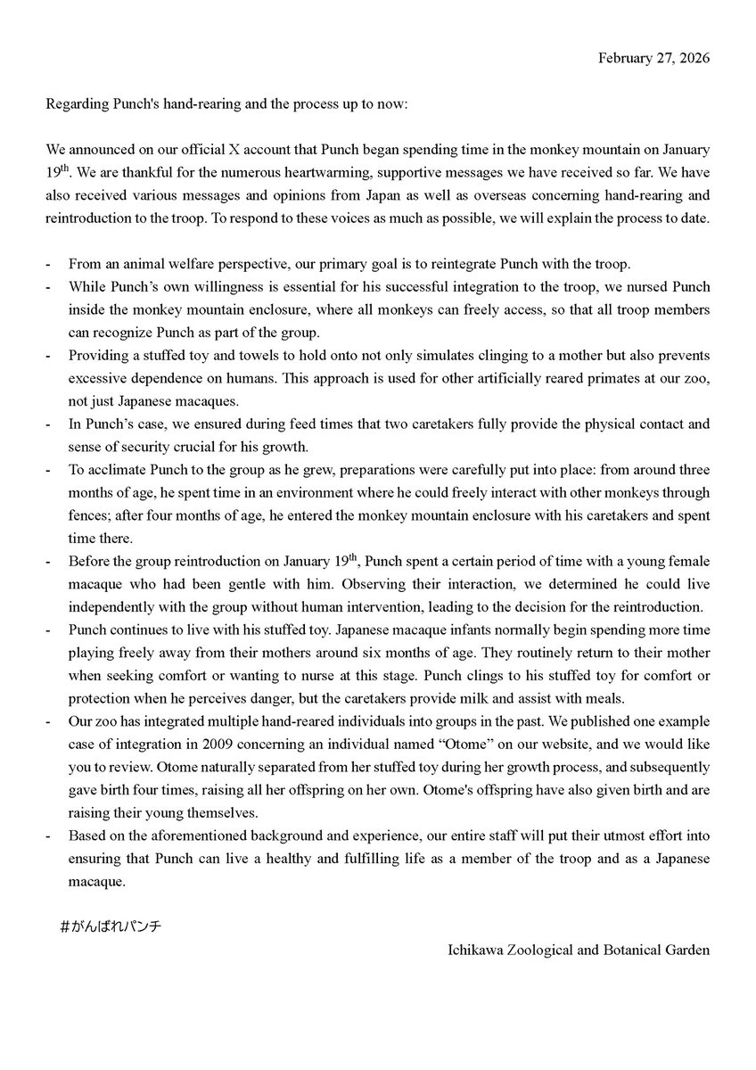 改めてご説明させていただきます。

パンチの人工哺育とこれまでの経緯について
Regarding Punch's hand-rearing and the process up to now:

文中に出てくる2009年「オトメ」の群れ入れレポートはこちら
city.ichikawa.lg.jp/zoo/0325.html

#市川市動植物園
#がんばれパンチ