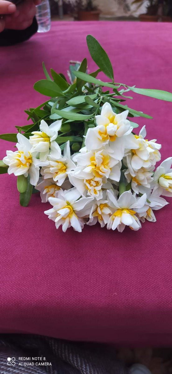 Bir masa, birkaç çay, bol muhabbet… Gerisi zaten hatıra. <a href="/HaticeZekiye/">Hatice Zekiye Yılmaz</a>