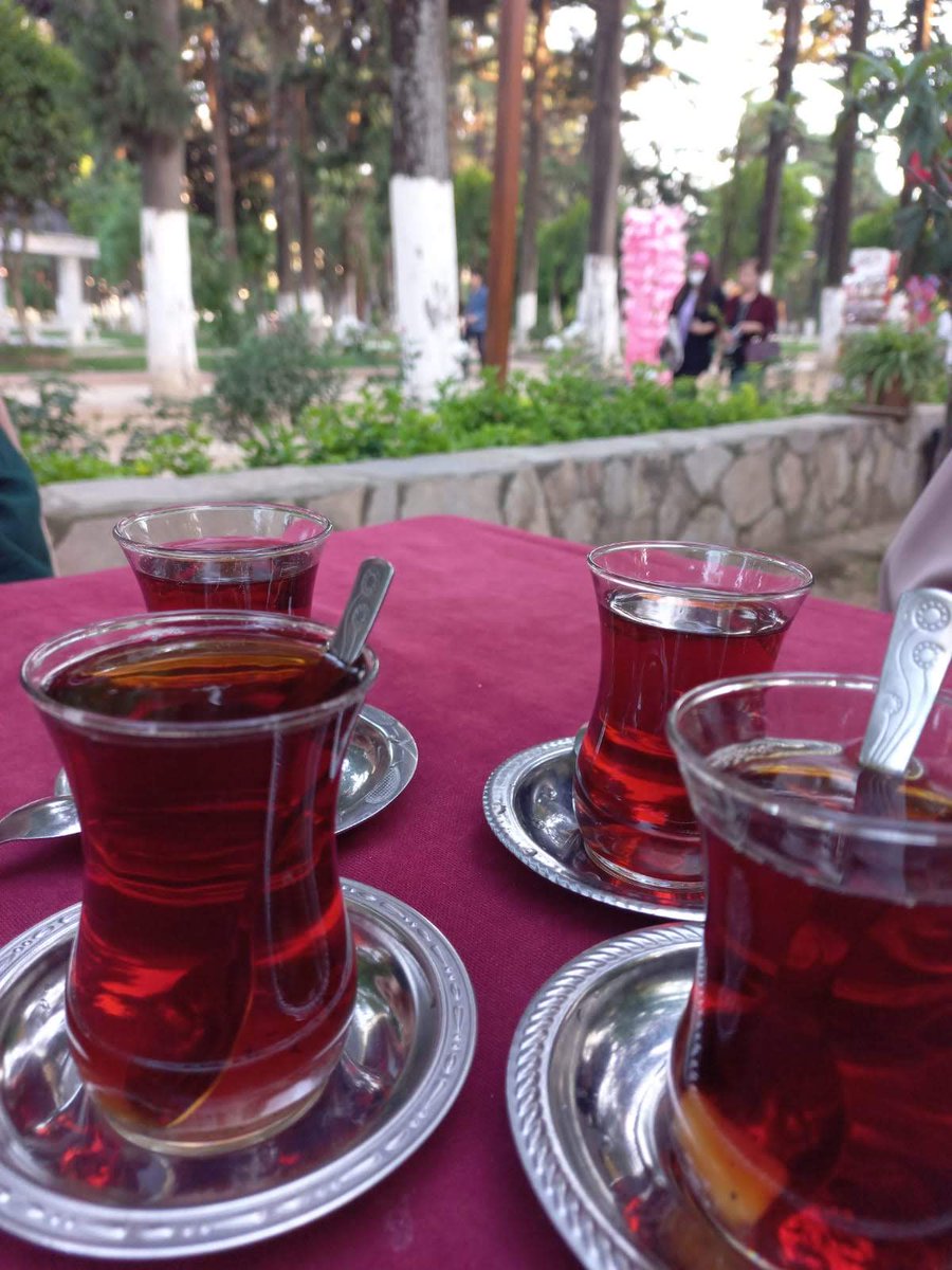 Dnzyldrm76's tweet photo. Bir masa, birkaç çay, bol muhabbet… Gerisi zaten hatıra. @HaticeZekiye https://t.co/nsbaNiiOuz