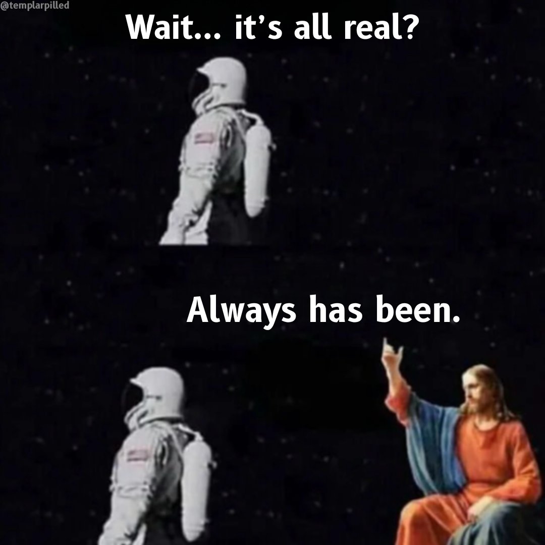 Templarpilled tweet media