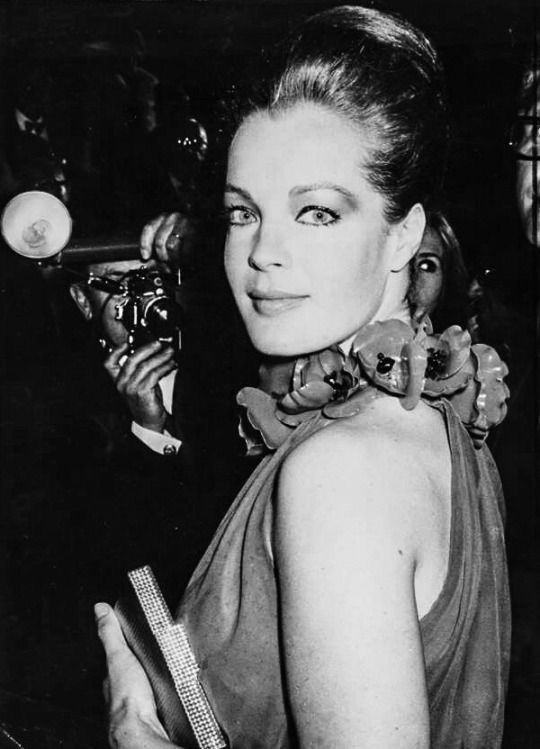 romy schneider daily tweet media