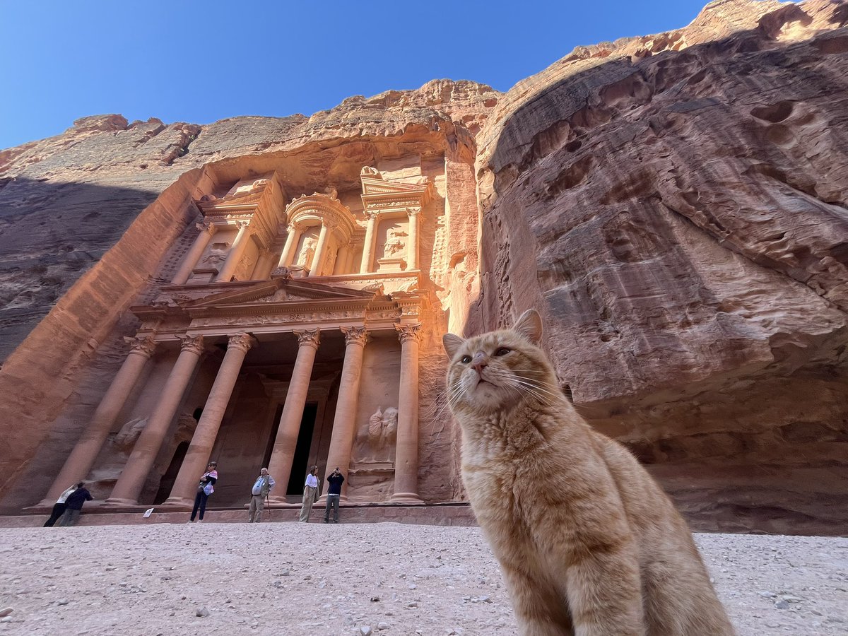 i have traveled last week to Jordan and i’ve got to see petra!
was something that i expected to do even older, happy i got the chance to do it this early in life!

forever grateful :-)