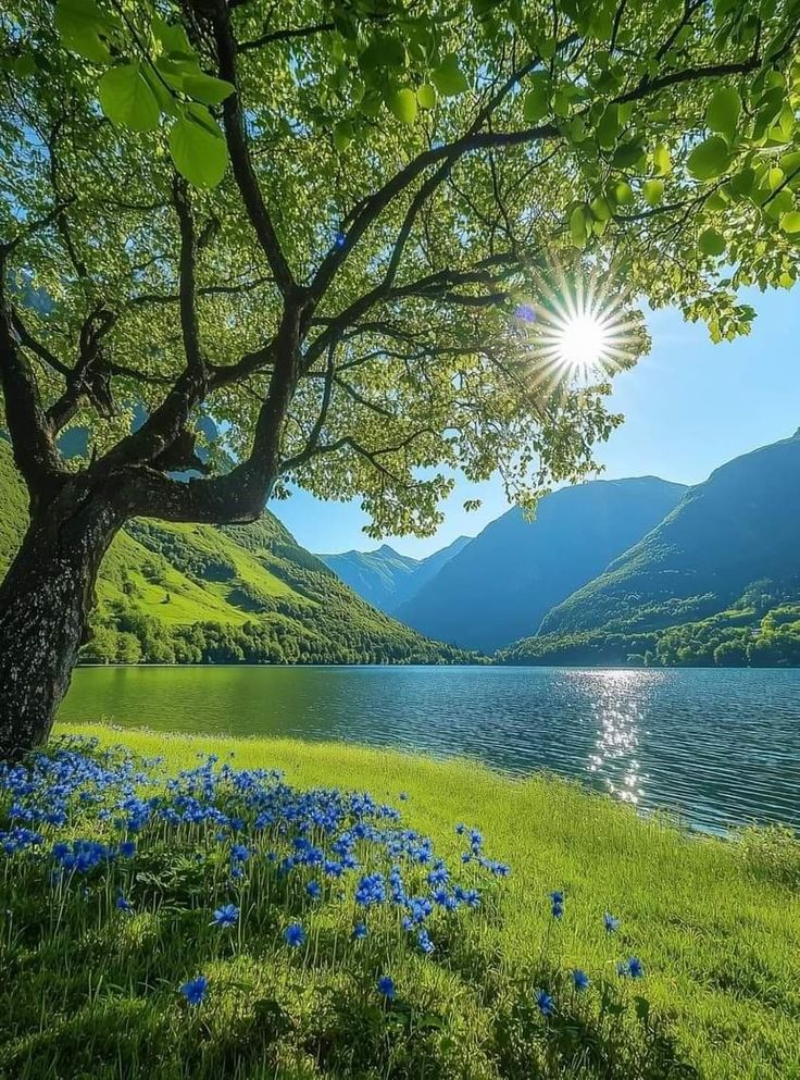 Beauty of Nature 🥀 tweet media