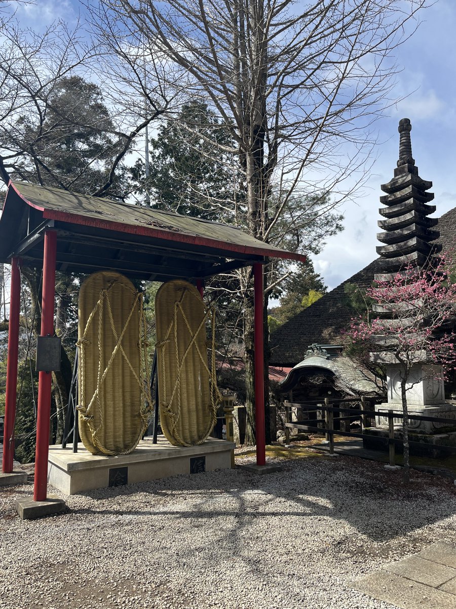 コバヒデ tweet media