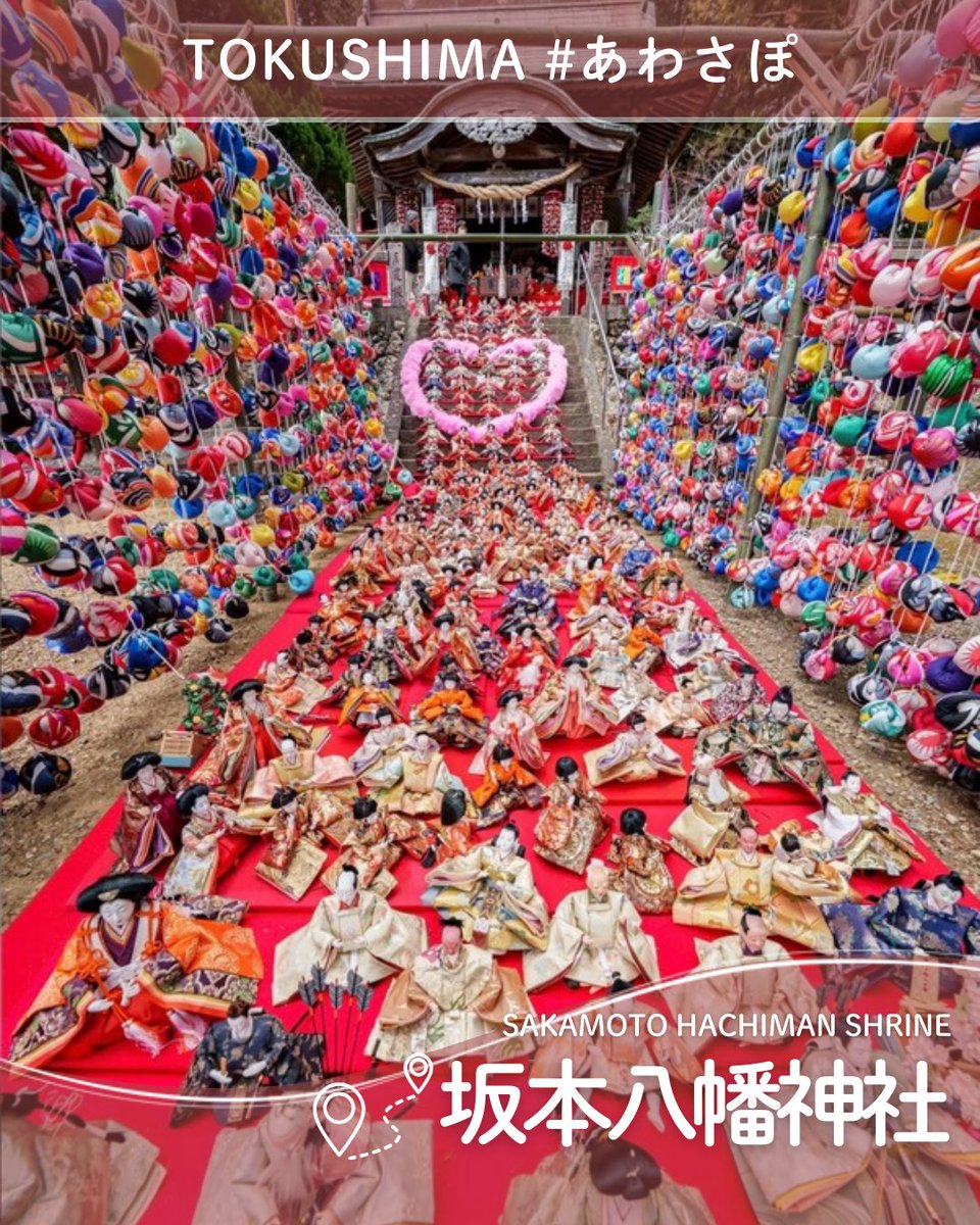 徳島の魅力 #あわさぽ でご案内🌀/ 今回は『#坂本八幡神社』をご紹介