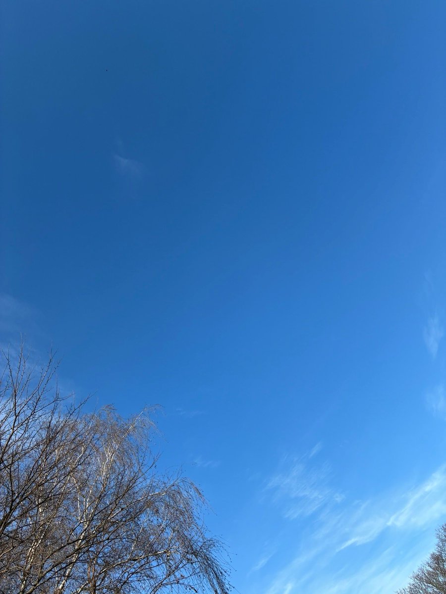 FFHistorians's tweet photo. Hier eine Auswahl der #archivhimmel der Woche! #BerlinLiebe https://t.co/32rfdpMdjt
