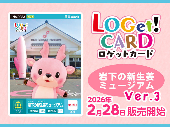 ロゲットカード　67　福井県　坂井市　丸亀城 桜バージョン&　通常版　2枚セット ロゲットカード公式サイト | ニシムラ精密地形模型