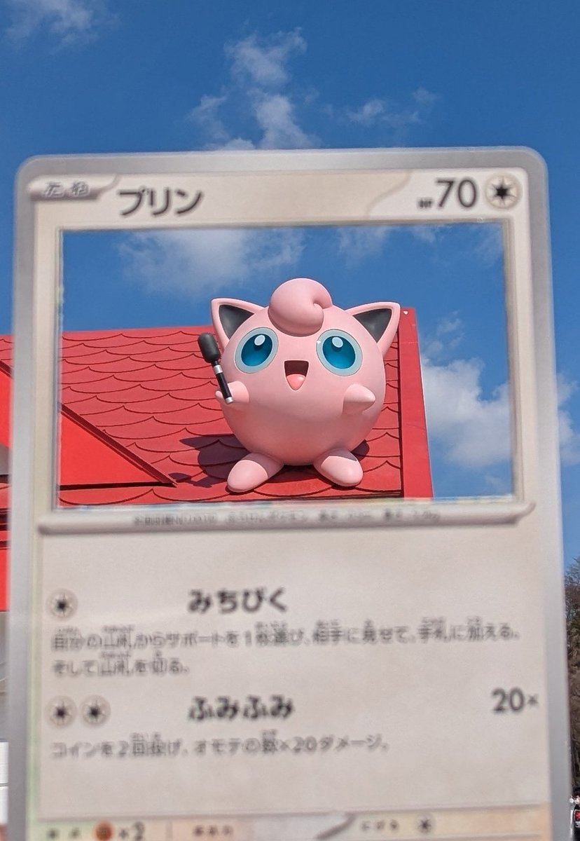 先週ポケパークに行ってきました。めちゃ楽しかったです。(プリン