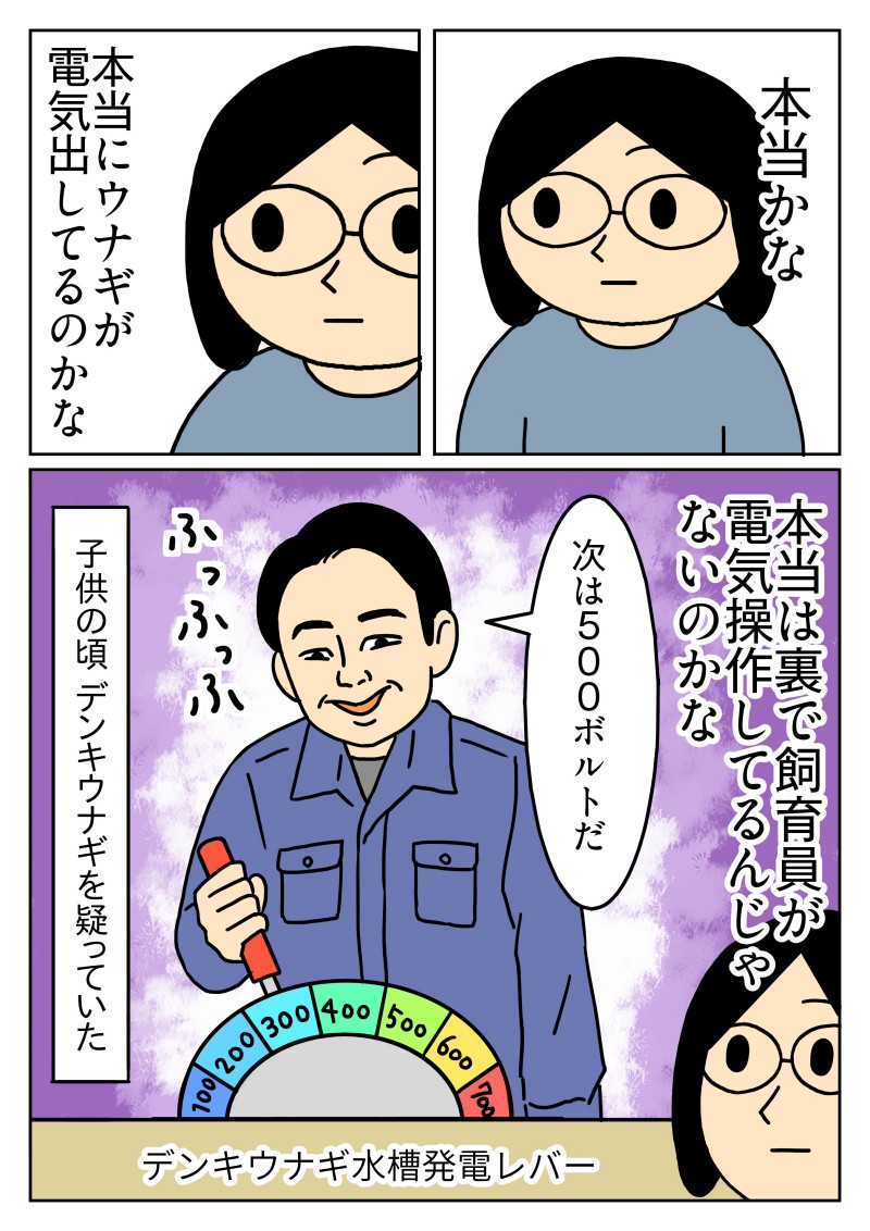 飼育員さんが裏でスイッチ入れたり消したりしてる姿を想像してました。
#コミックエッセイ #デンキウナギ 
