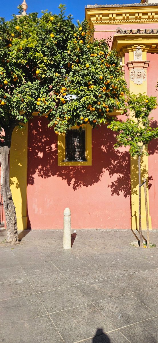Y dijo Herodes ; Los Viernes de Cuaresma todos los caminos del mundo siempre llegan a San Lorenzo miarma toa.