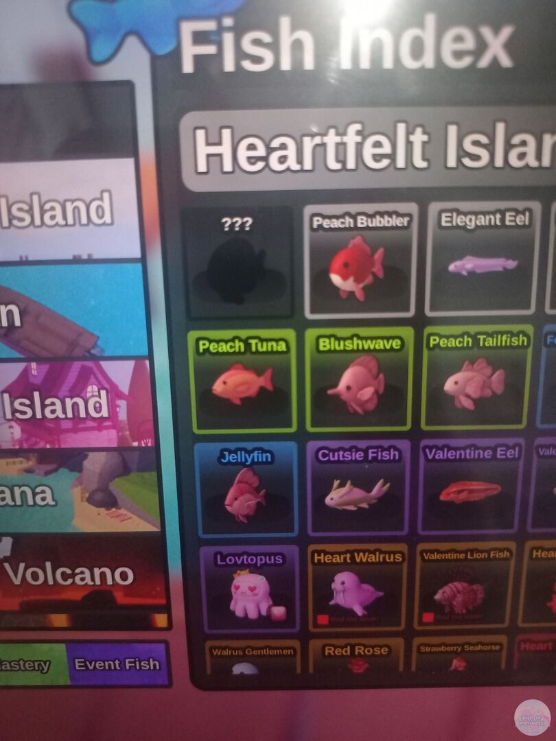 FISH IT FESS ‼️ WTT CANTUMIN UNAME tweet media