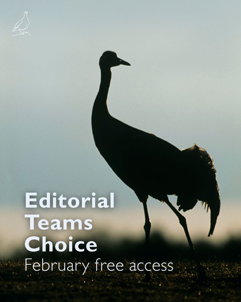 British Birds tweet media