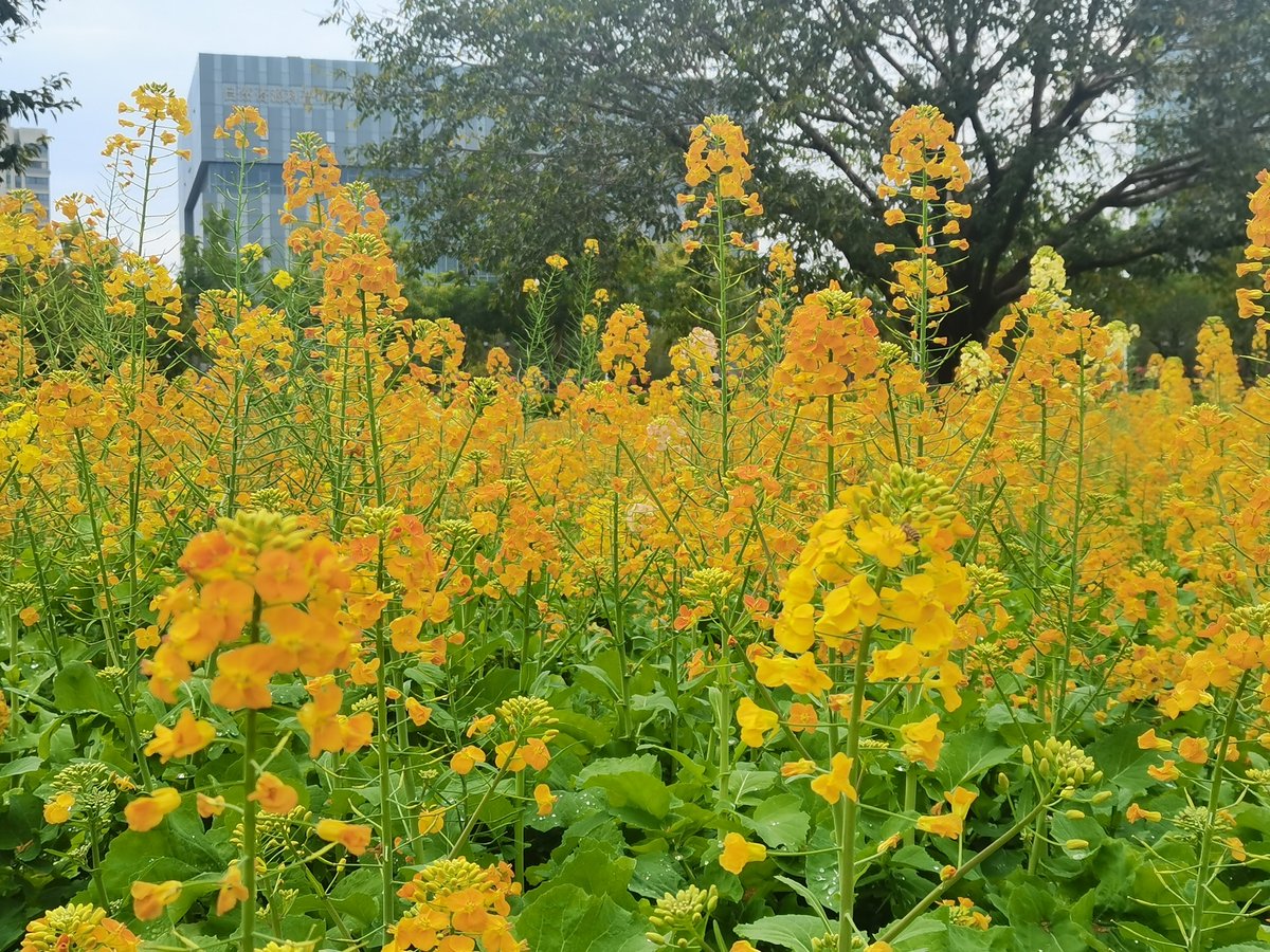 Fred（互fo） tweet media