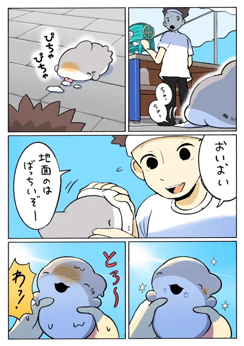 子ザメのひとりぐらし はじめてのかき氷 2/3 