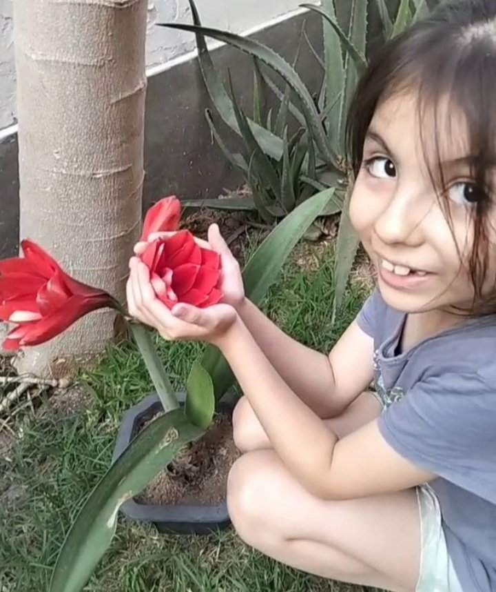 Donde está tu tesoro, está tu corazón