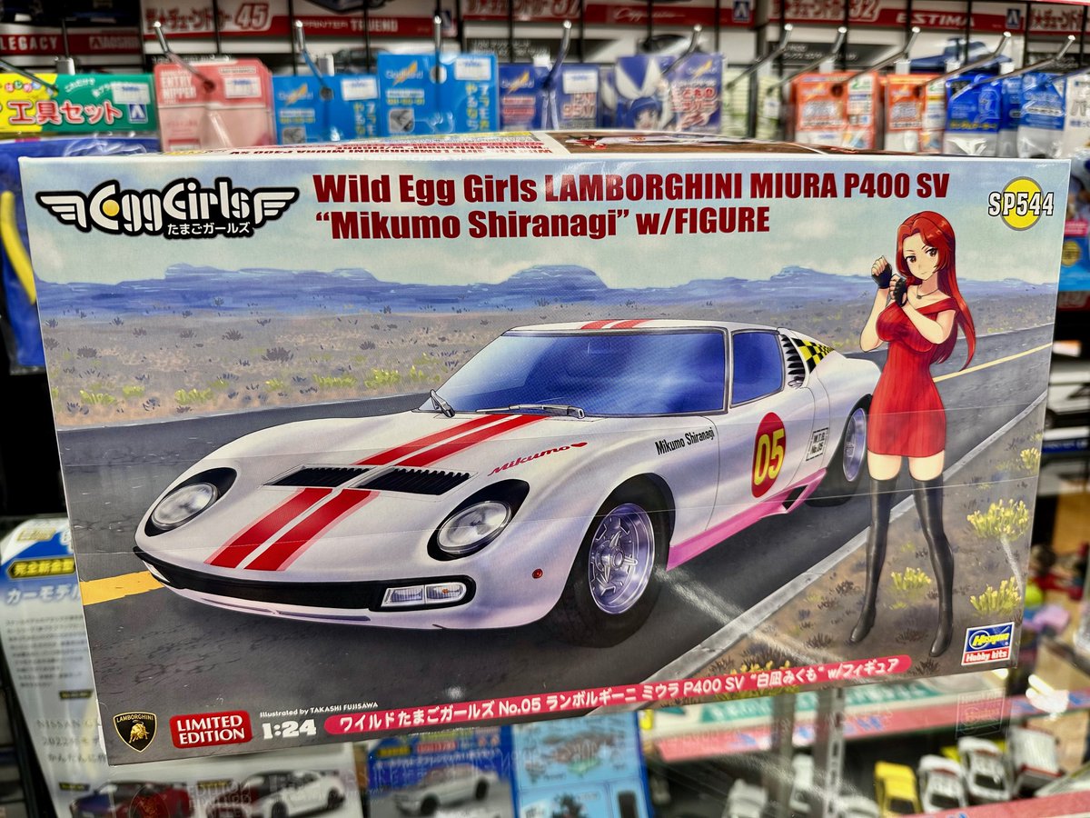 ハセガワ ＃スケールモデル 再販商品入荷しました！ ・1/24 ワイルド