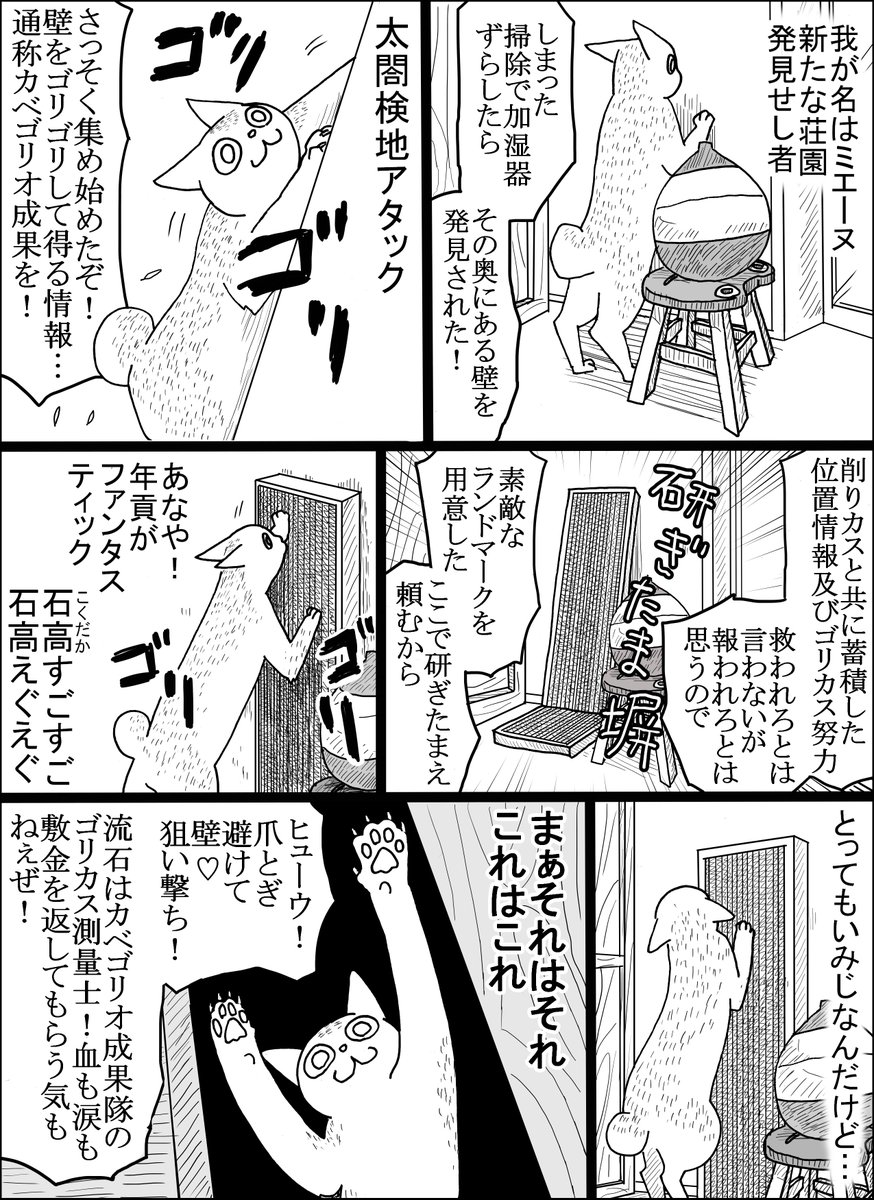 カベゴリオ成果隊のゴリカス測量士（国土地理院所属）