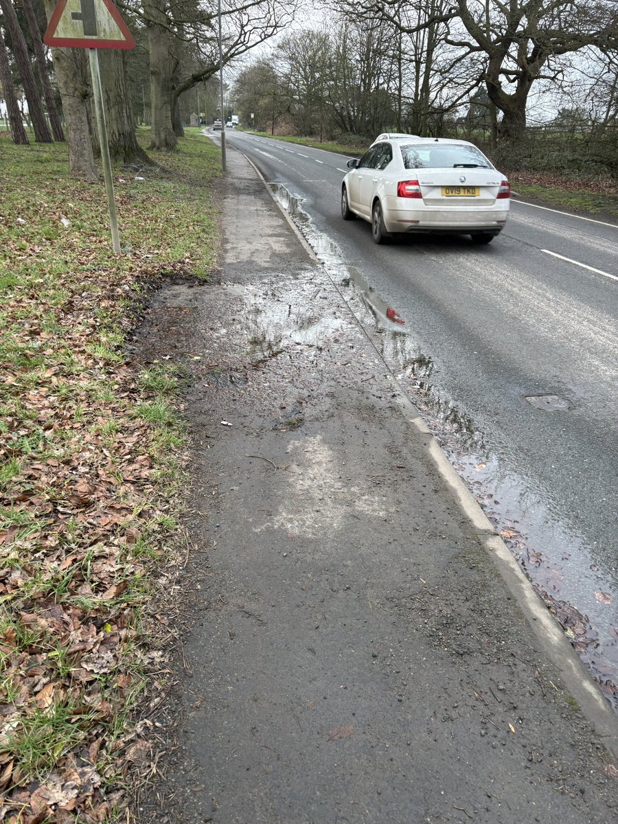 David Smith tweet media