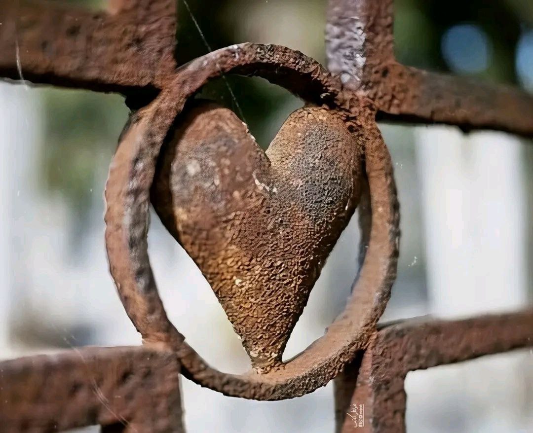 .؛

.؛
يا ربّ بلِغني ربيع عُمري وألهمني خارطة الطرقات السعيدة وارزقني من السعة واليُسر والرحابة ما يُقر عيني وتسعد به نفسي.
#ثم
قُلِ الحمدُ لله  
حتّى وإن ضـاقت الأيّام  وإن تأخّـر الفـرج 
فكلّ ما يُخبِّئهُ الله لك  يأتي أجمل مما تمنيت.
.؛
          
          #صباح_الخـــــير