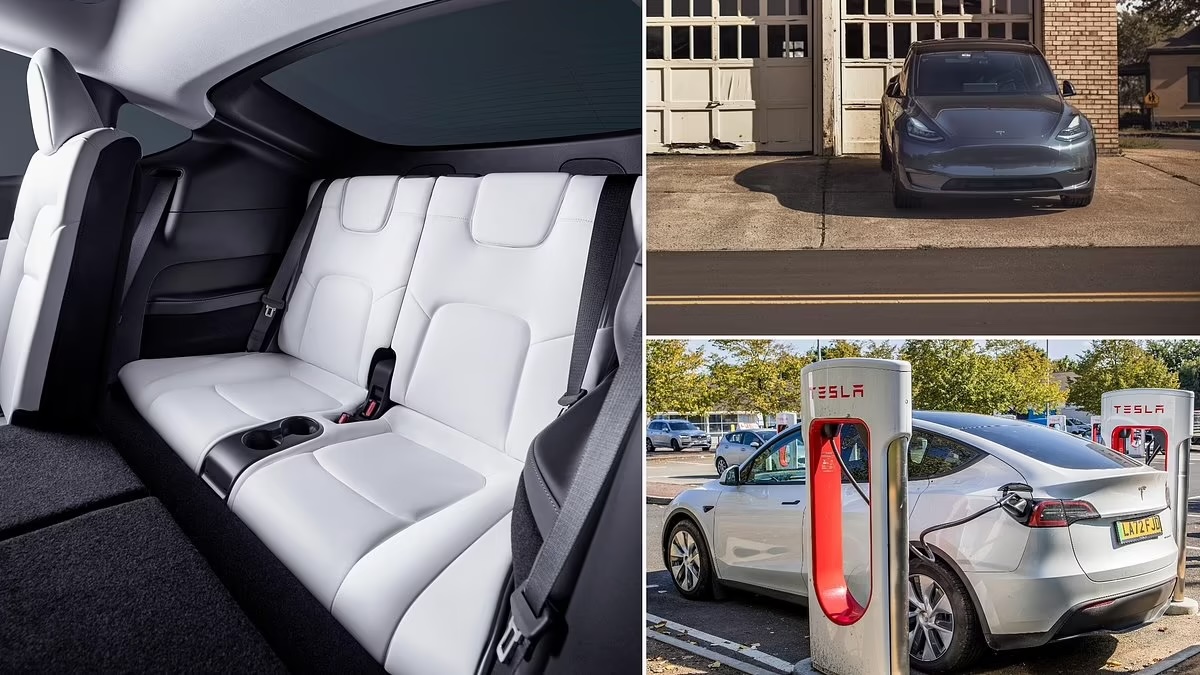 Mario Nawfal tweet media