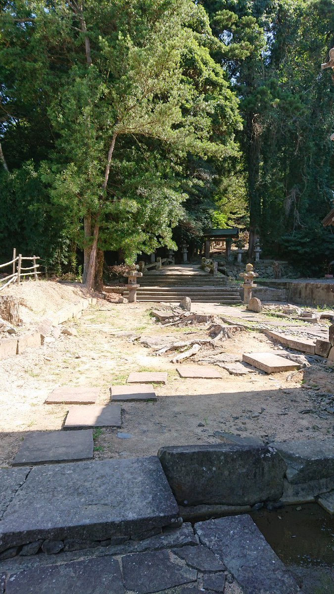 「境内には段差も多いし…」←ガチ