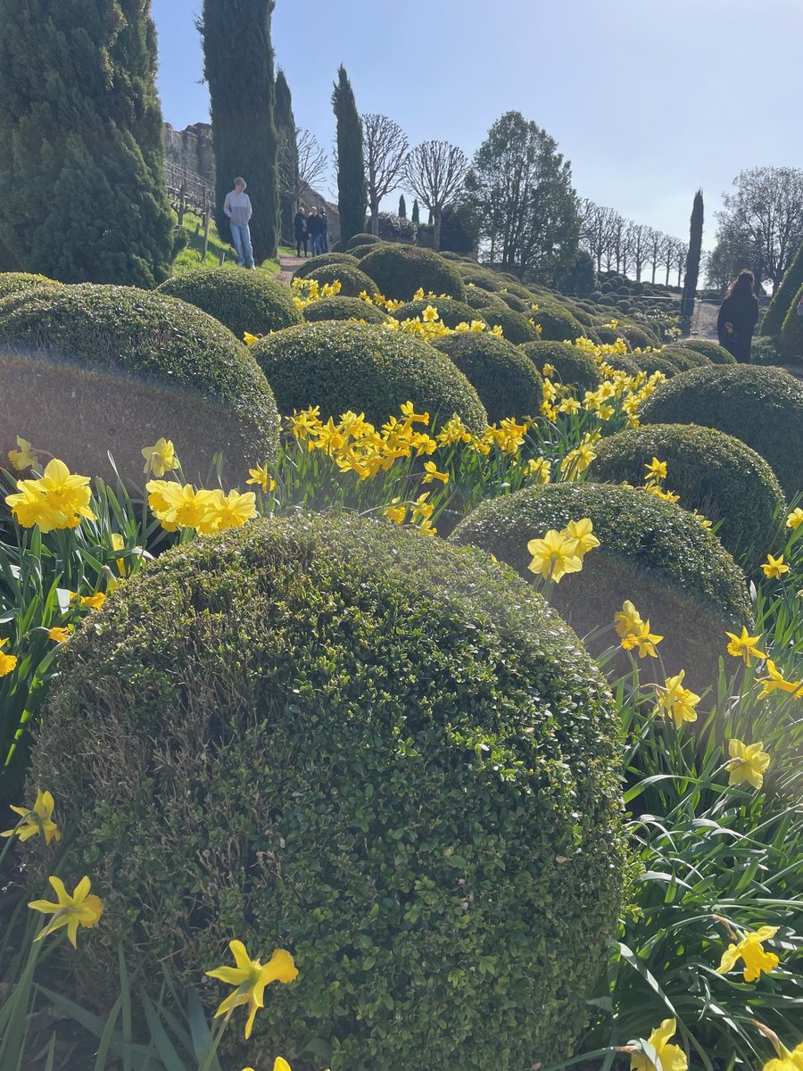 Château Royal d'Amboise tweet media