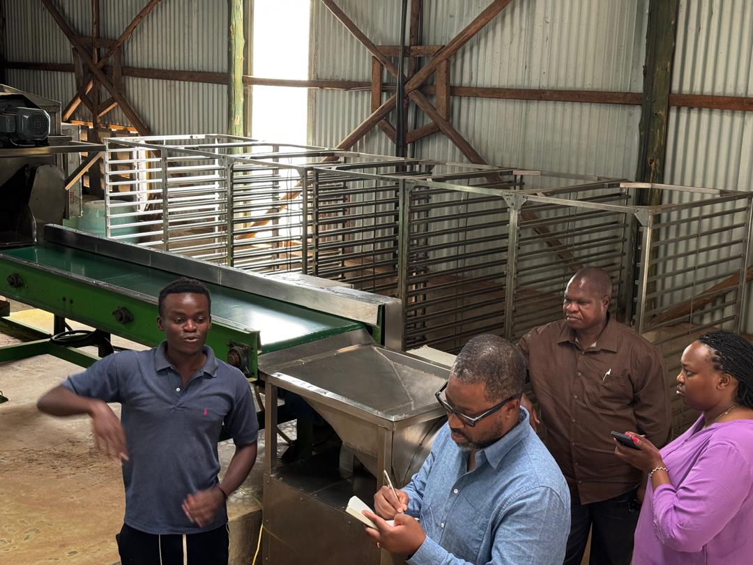 MaangiJoash's tweet photo. My field vists today took me to Lira in Northern Uganda where a kenyan businesswoman(Waithera) processes Cassava and millet for export (including to Kenya). The future of The region depends on cottage industries. https://t.co/6UoGJi2ynj