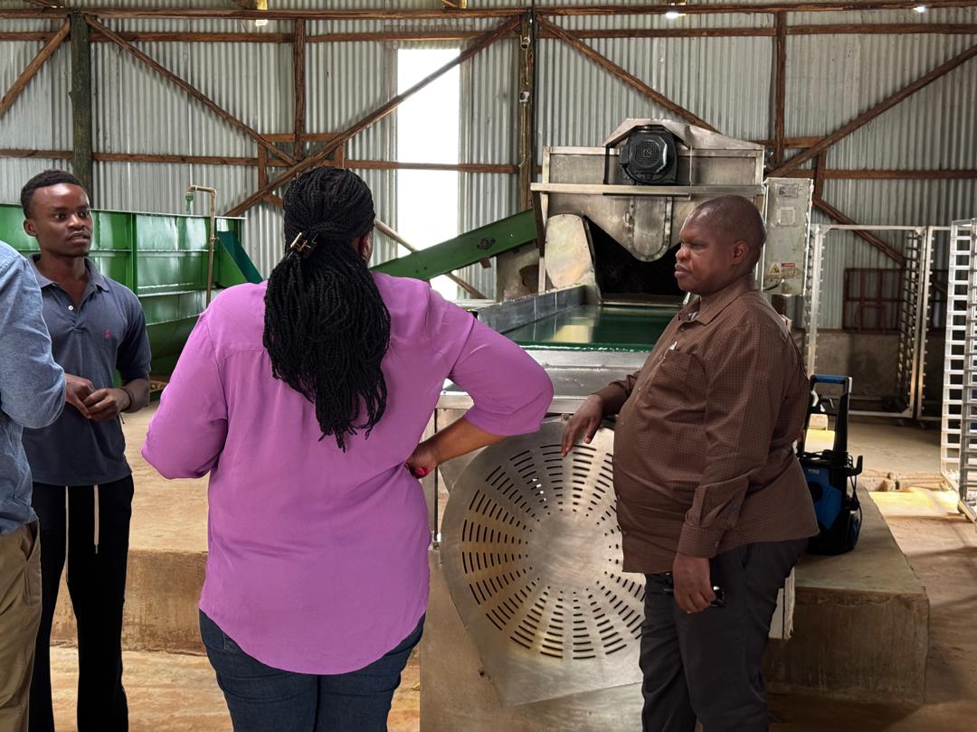MaangiJoash's tweet photo. My field vists today took me to Lira in Northern Uganda where a kenyan businesswoman(Waithera) processes Cassava and millet for export (including to Kenya). The future of The region depends on cottage industries. https://t.co/6UoGJi2ynj