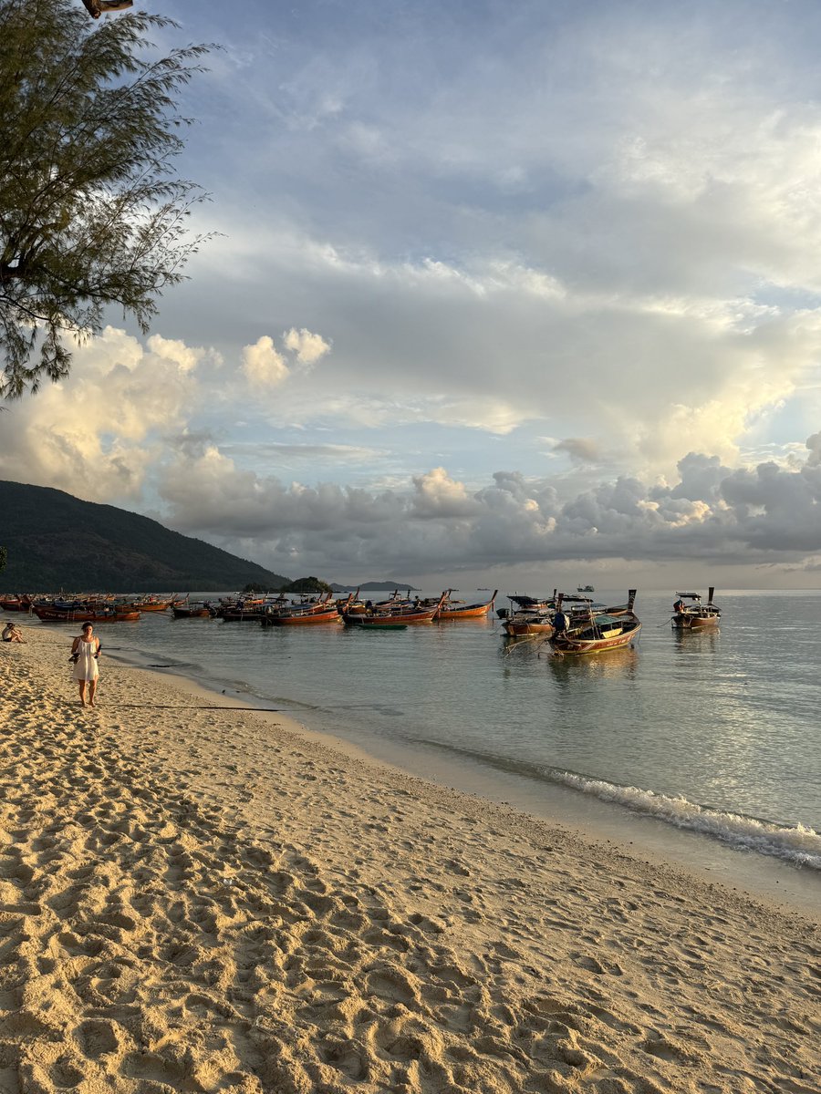 diseasezoe's tweet photo. What a paradise this is ☀️🌴 #kohlipe
Kde ty psíci berou vodu? Co se s nima stane, když umřou? Odklidí je někdo? Kam? Mají tu pejsčí krematorium? A co ty kočky? Co když se měl Rybíz líp na ulici beze mě? Dyť ty psíci jsou tu tak spoko a svobodný. Rybíz musí chudák denně do práce a dokonce ještě občas na dovolenou. Co asi teď dělá? A co to AI? Nestávám se každou minutu, co tu ležim a čumim míň a míň relevantní? A jak díky AI pomůžu pejskům? Nvm už tu ležim dlouho. Spálila jsem se. Jdu si dát dvacet. Hezkej pátek!