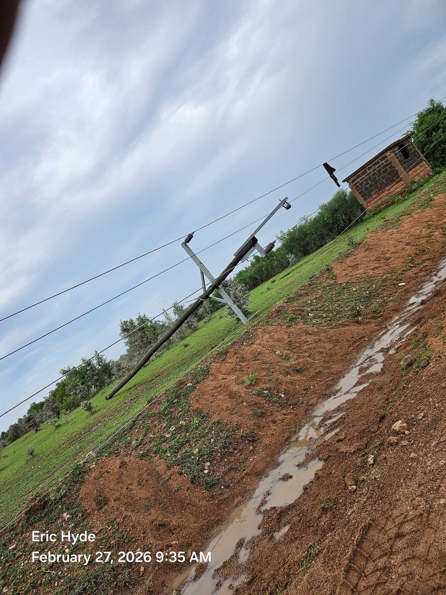 Majiwa Hamilton tweet media