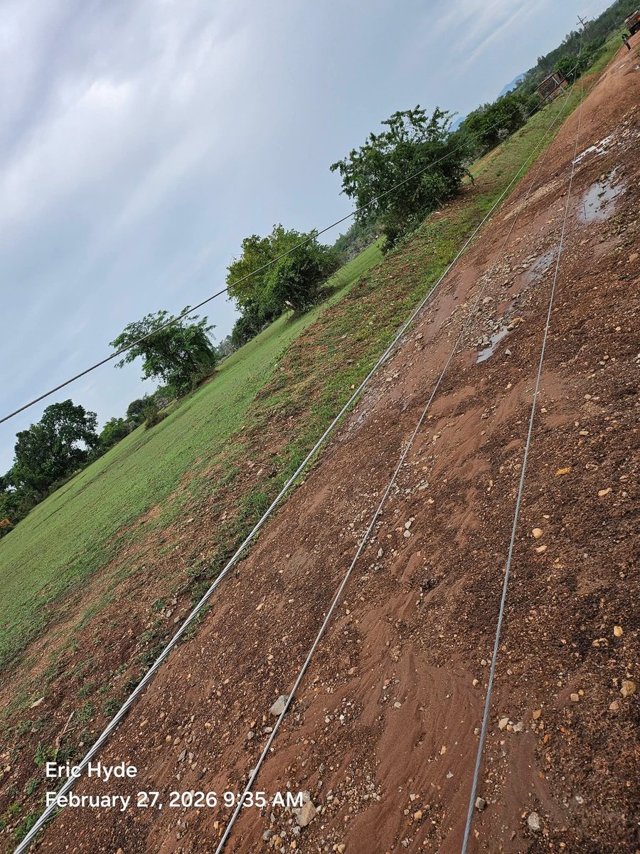 Majiwa Hamilton tweet media