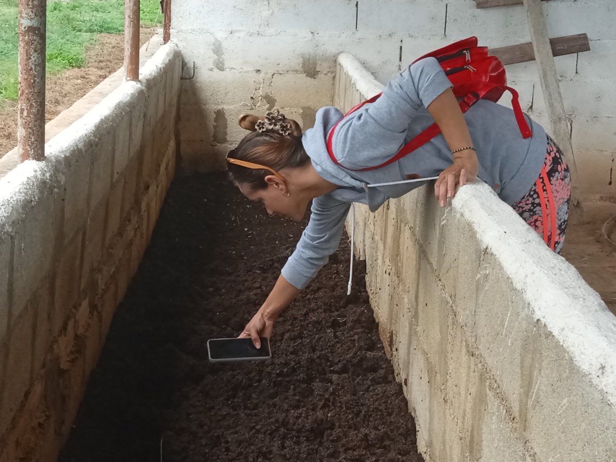 CibaCuba's tweet photo. Continúa en el @CibaCuba la producción de #HumusDeLombriz 🪱para actividades científicas orientadas a mejorar cultivos mediante la aplicación de prácticas agroecológicas.
@ArmandoRguezB
@citmacuba @citmaciego @DCitmaCA @JHGcasanova @Invasorpress https://t.co/p4Eg0jwroA