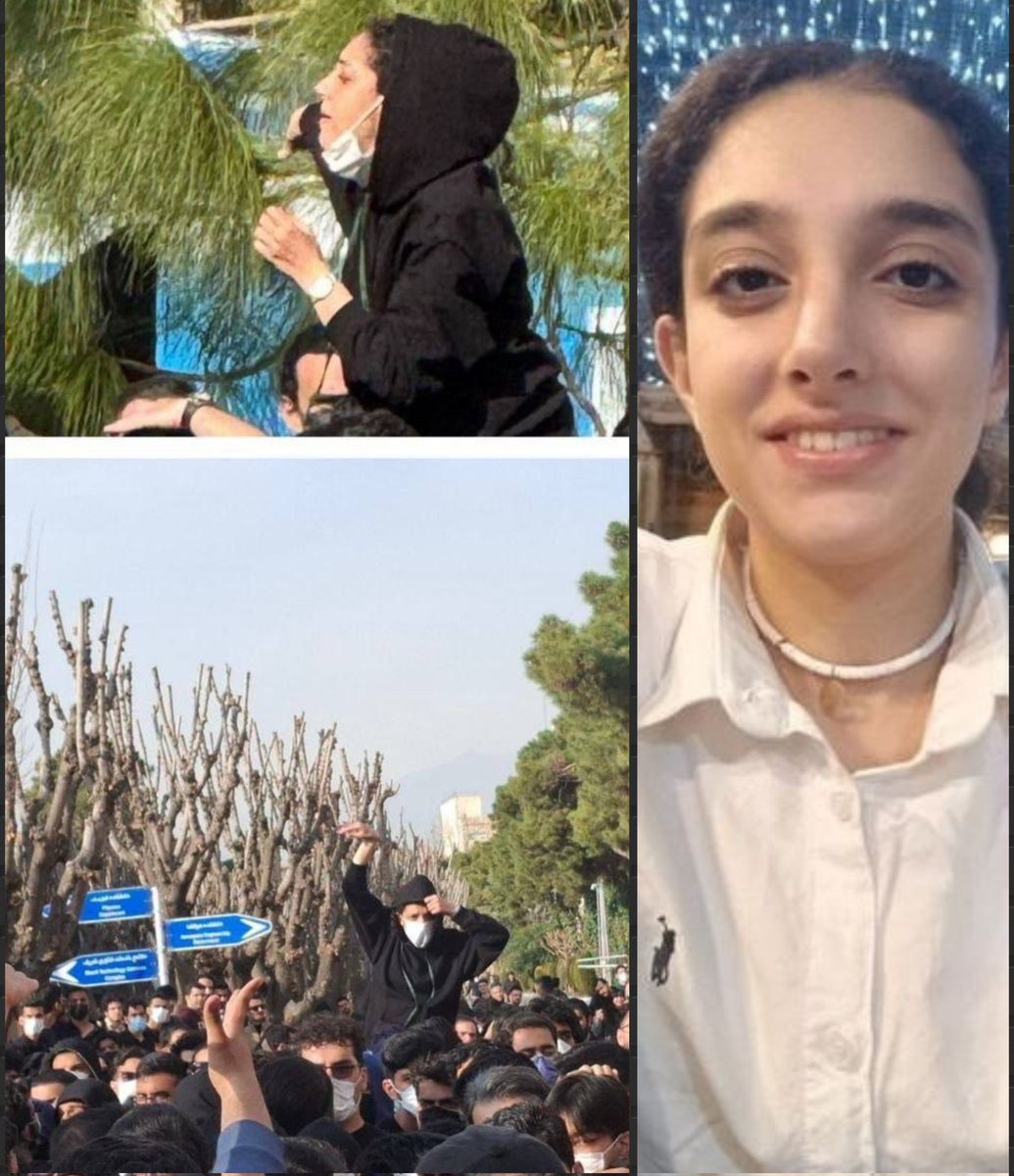 قباحت اگر آدم بود میشد فاطمه خاکپور.
با سهمیه ایثارگر و جانباز میری دانشگاه دولتی،
بعد میرسی به جایی که دستِ جانباز رهبرت رو مسخره می‌کنی و پرچم ایران رو آتیش می‌زنی.
هیچ جای دنیا جای همچین لجنی تو دانشگاه نیست