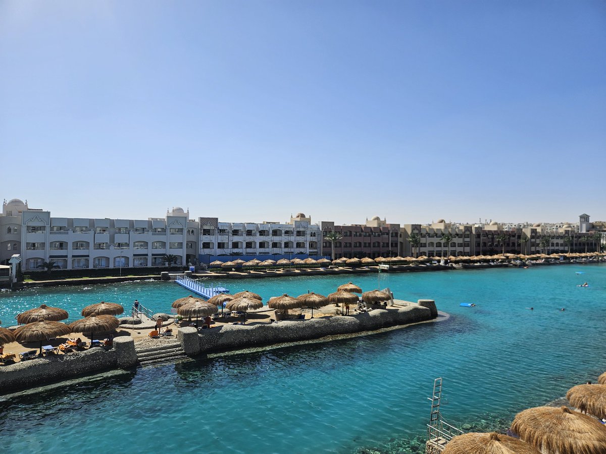 Ivan Bullish tweet media