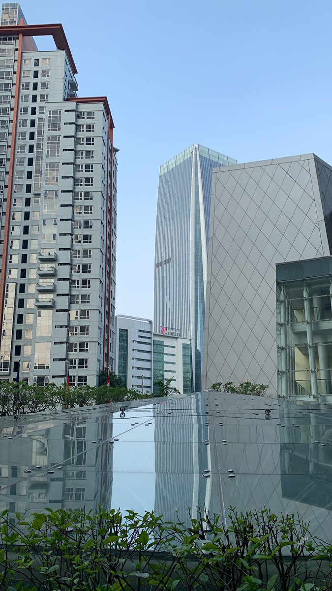 Splendid Dreamer tweet media