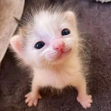 "oh you're fbi?"
"ᶦ ᵃᵐ"