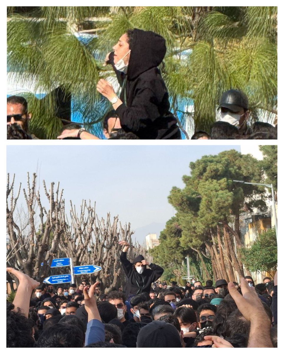 Fateme Sharif 🚩 tweet media