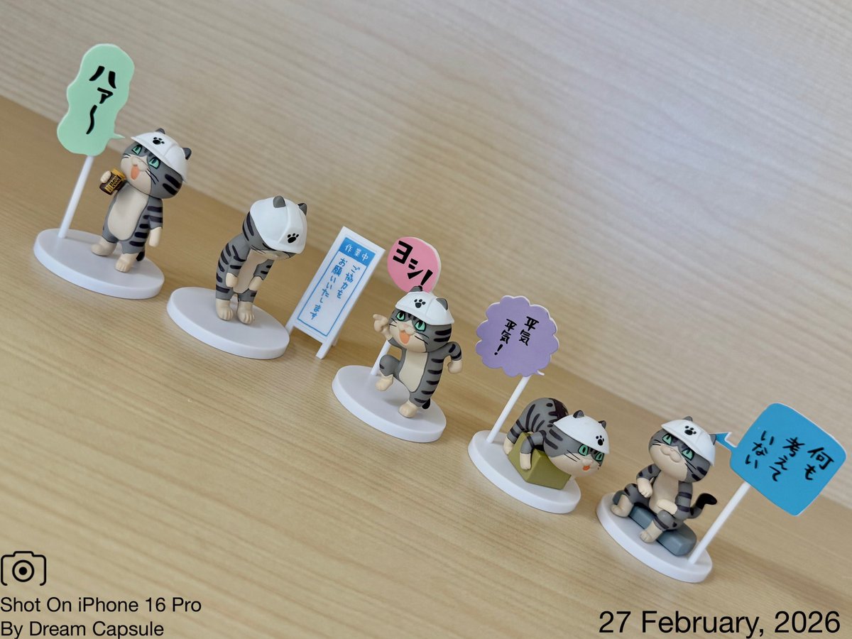 ドリームカプセルの中の人【公式】 tweet media