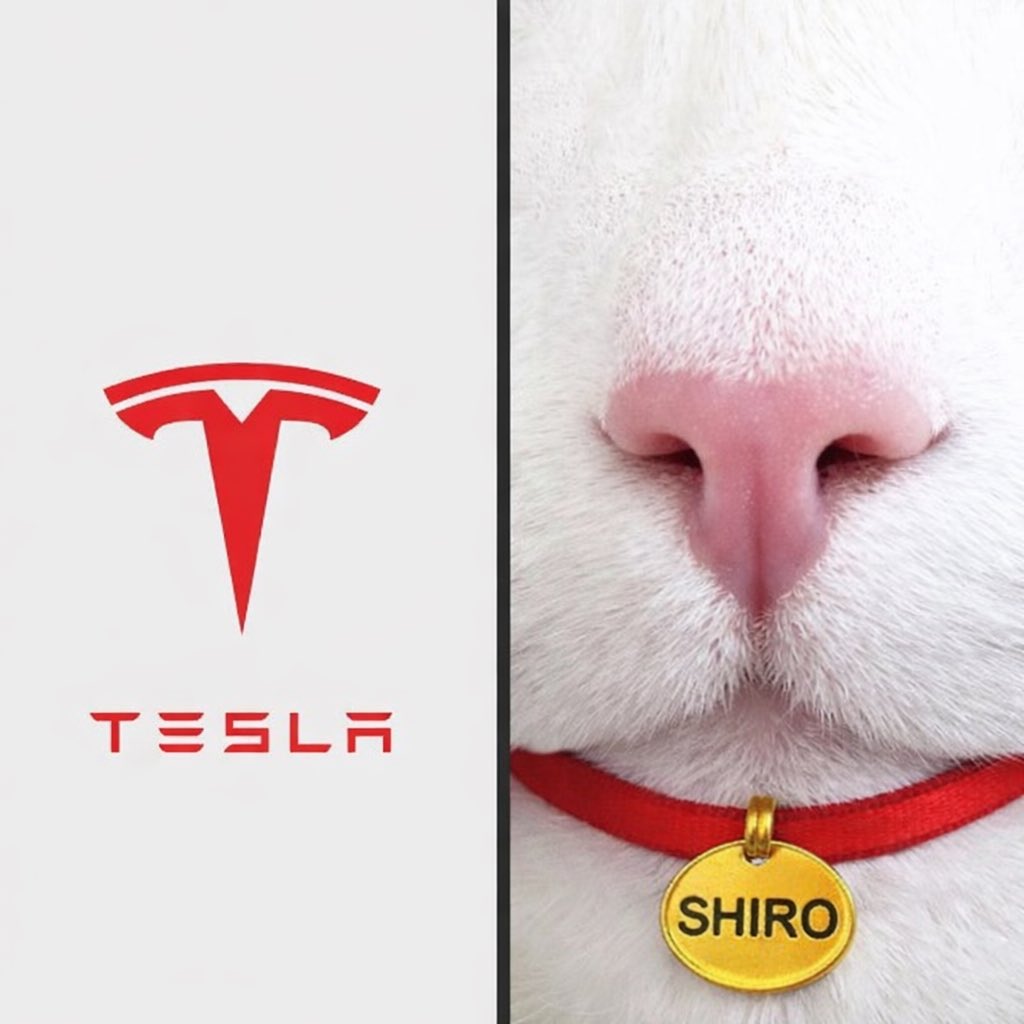 worldofgrace34's tweet photo. 🧐 hmmmmm so Tesla logo is just shiro cat nose. https://t.co/Qt5VRtC0KB