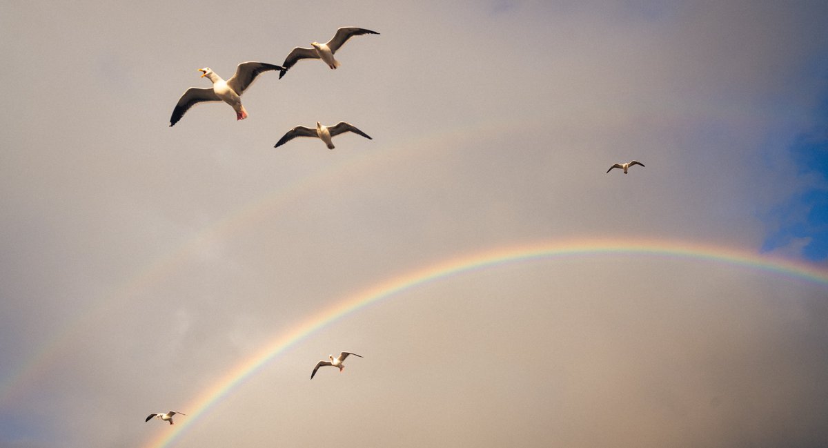 Jussi the Official Photographer of Esports tweet media