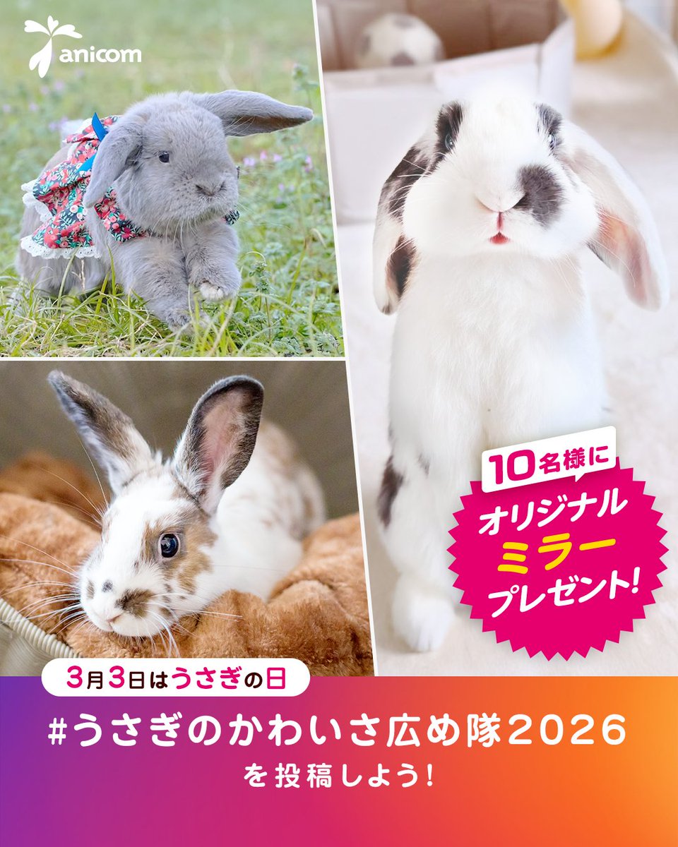 🐰#うさぎのかわいさ広め隊2026🐰 3月3日は「ミミの日」。 うさぎ