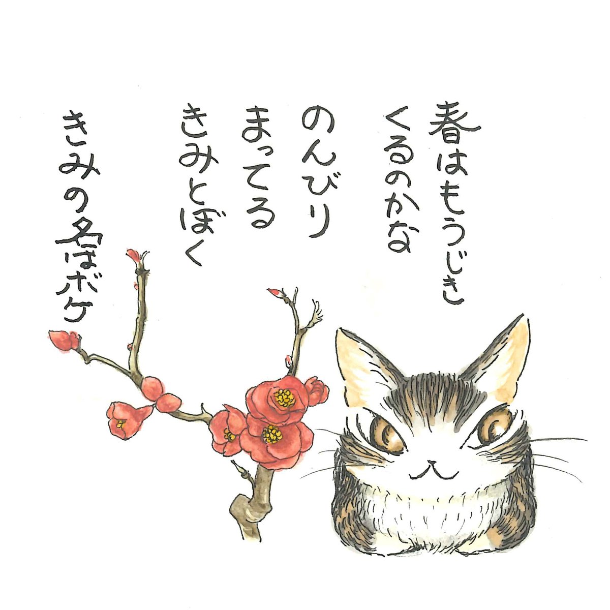 wachifield_com's tweet photo. 【池田あきこのアトリエ日記】

『春はそこまで』

いつもの散歩道をそれて住宅街を歩いてみると、
春に先駆けて木瓜が咲いているのを見つけた。
なんだかのんびりした風情の花だよね。
公園では梅もちらほら花をつけている。
春は、ほら、角を曲がったあのあたりまで来ているよ。 https://t.co/H3q4wjAerb