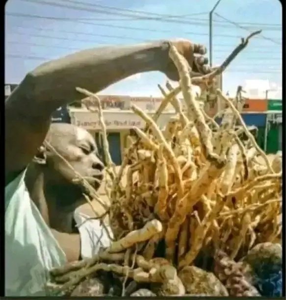 Umesema akona nose ring 😂