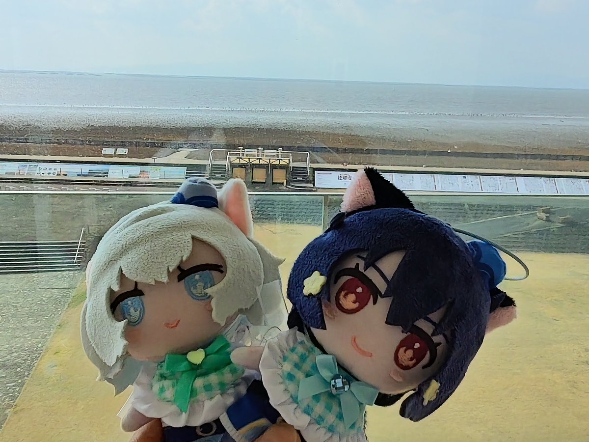 ひちなこうさが🐮🍮🥐 tweet media